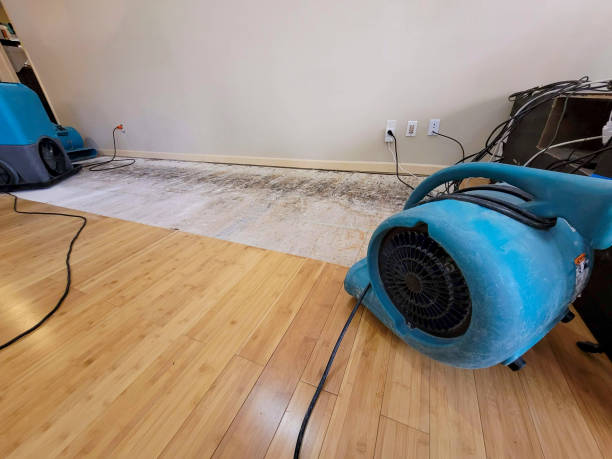 Professional Flood Damage Cleanup technician working in Montclair, CA